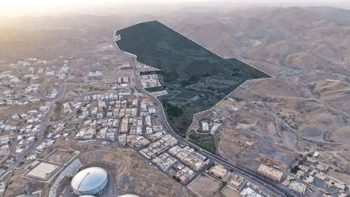 مزاد هذا الطائف