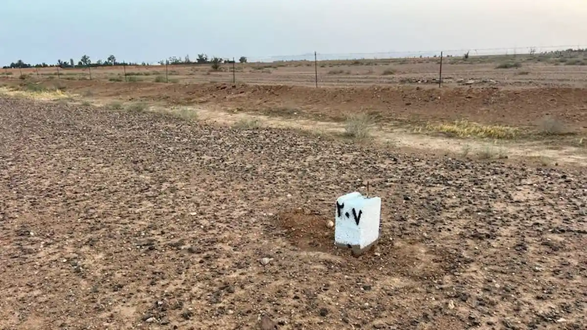 مزاد سنابل حائل