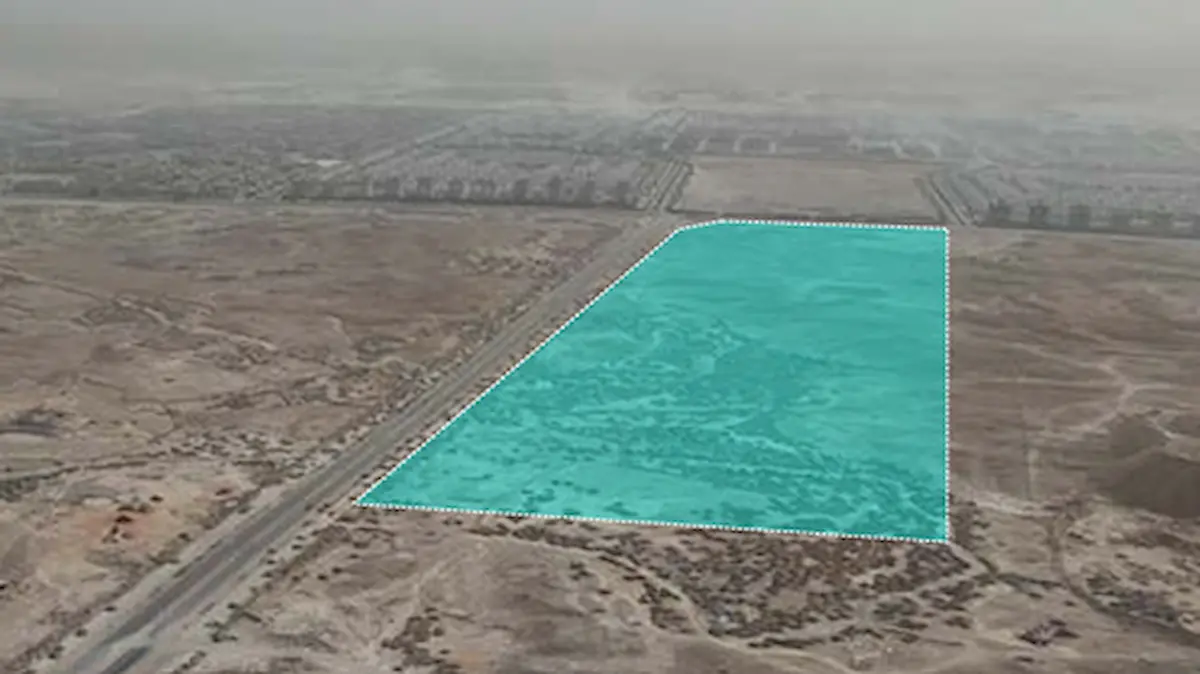 مزاد خام النرجس